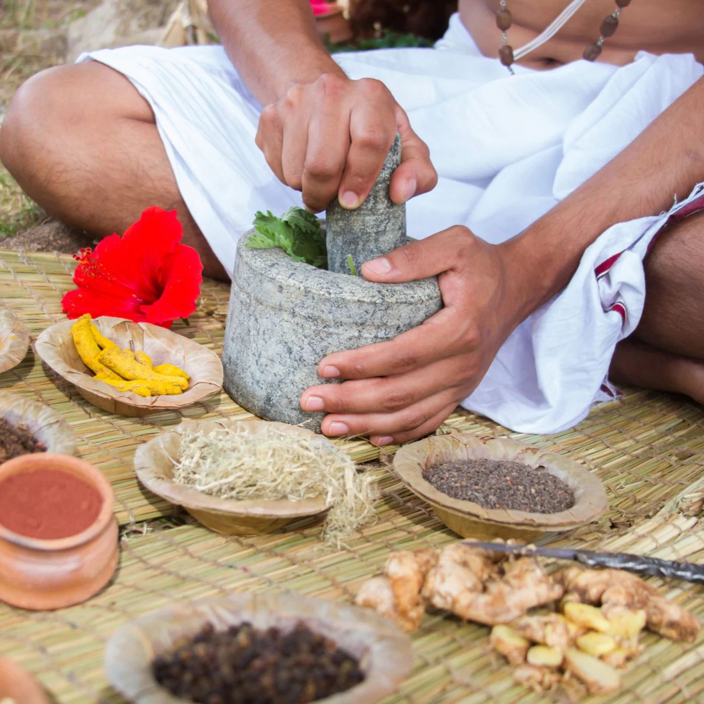 Ayurveda doctors